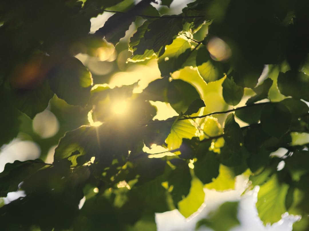 Foto 28 van Type B1 (Bouwnr. 122)