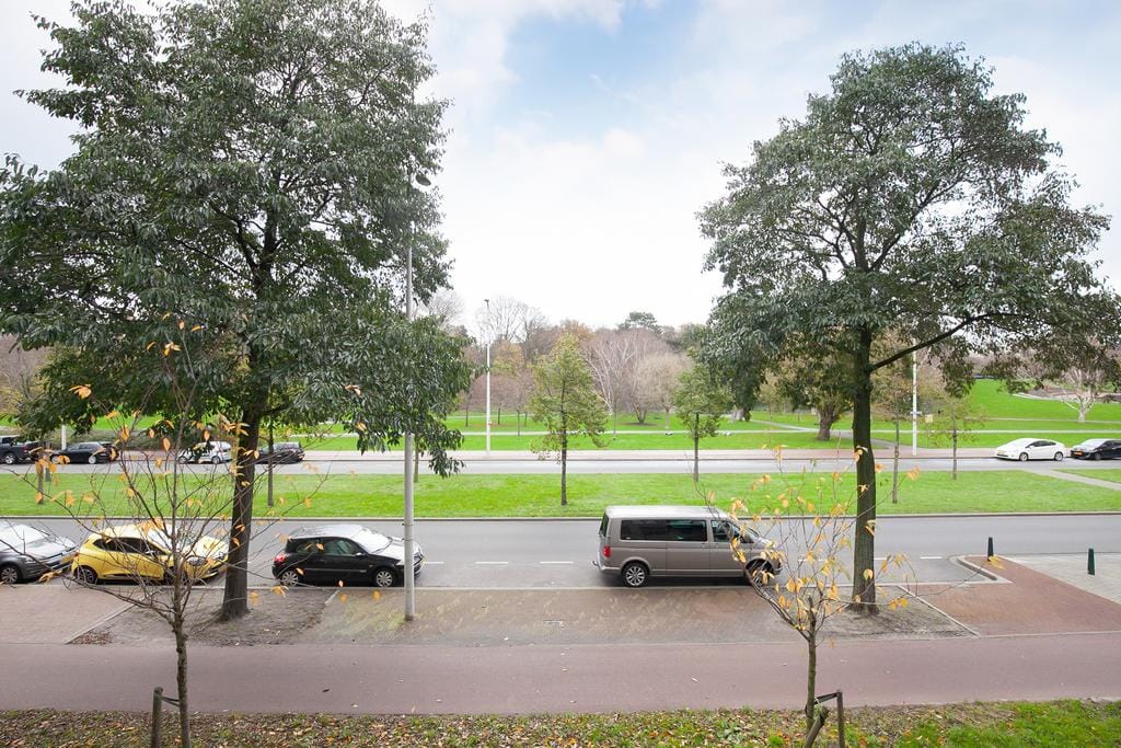 Foto 19 van Loevesteinlaan 371-E