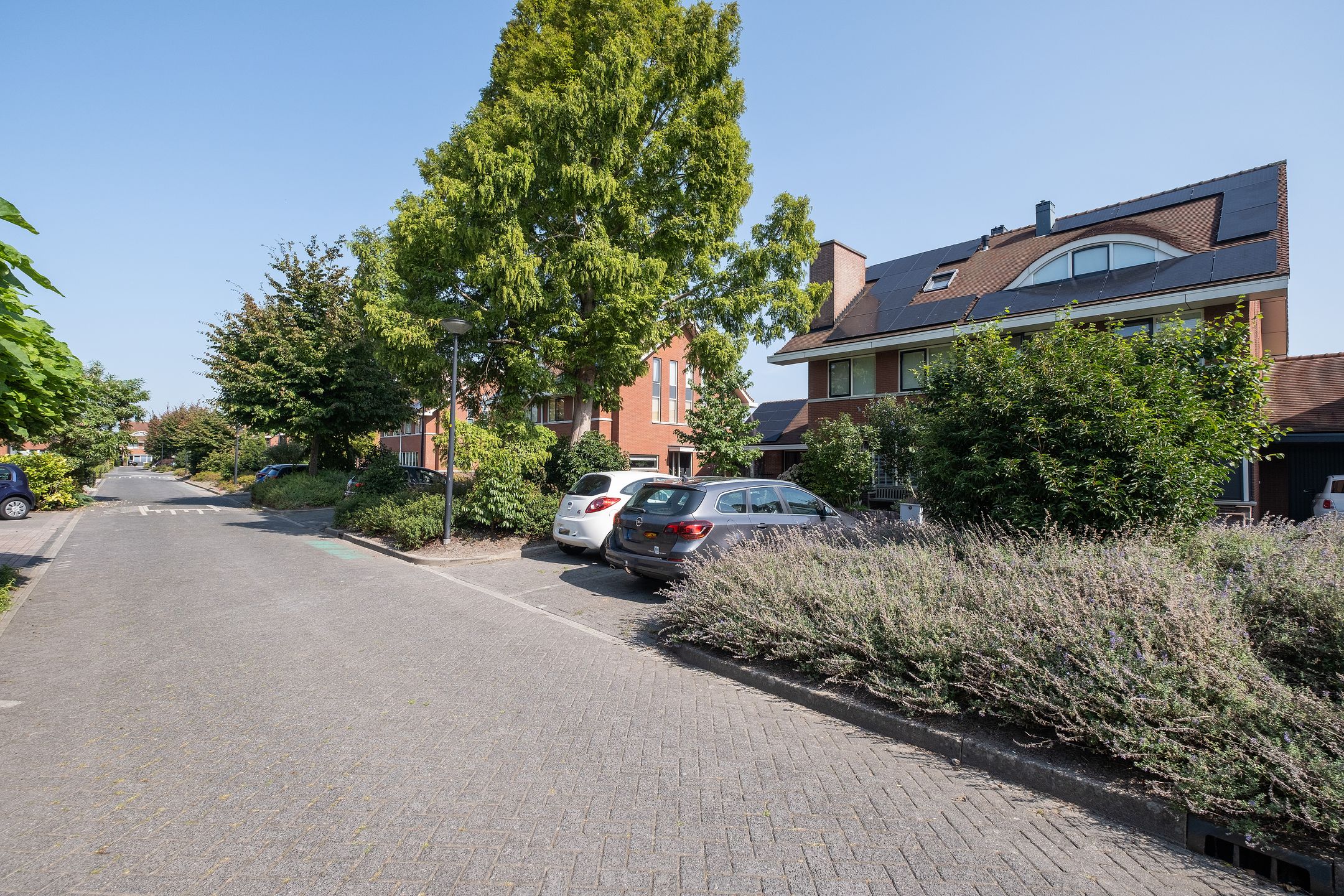 Photo 48 of Alida Buitendijk erf 39