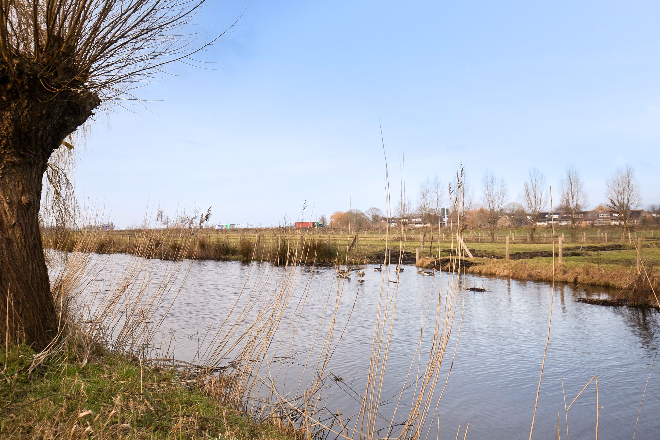 Foto 45 van De Kust 29