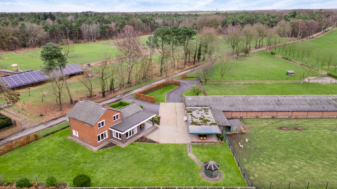 Photo 7 of Grotesteeg 27