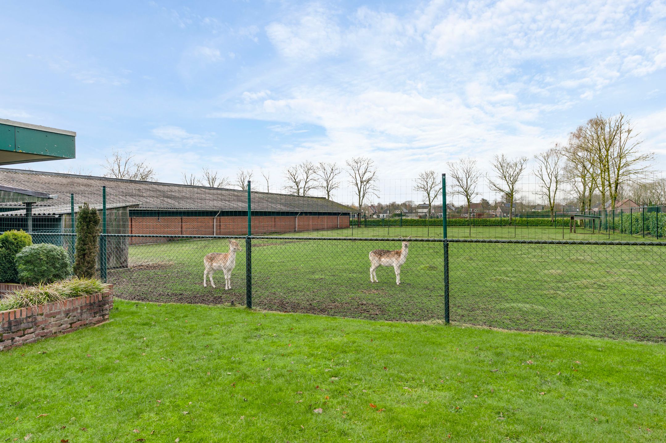 Photo 45 of Grotesteeg 27