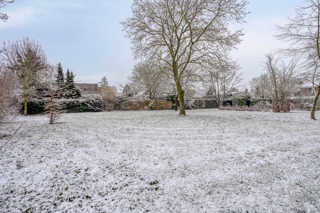 Foto 8 van Wolfsberg 63