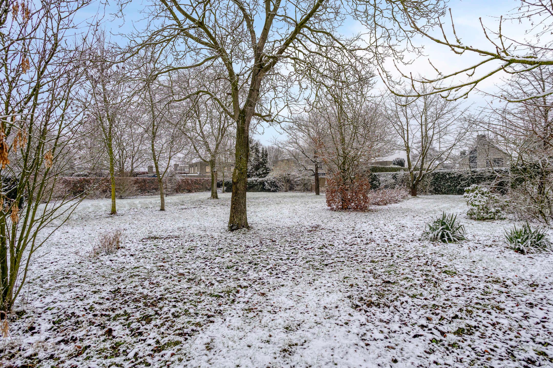 Foto 6 van Wolfsberg 63