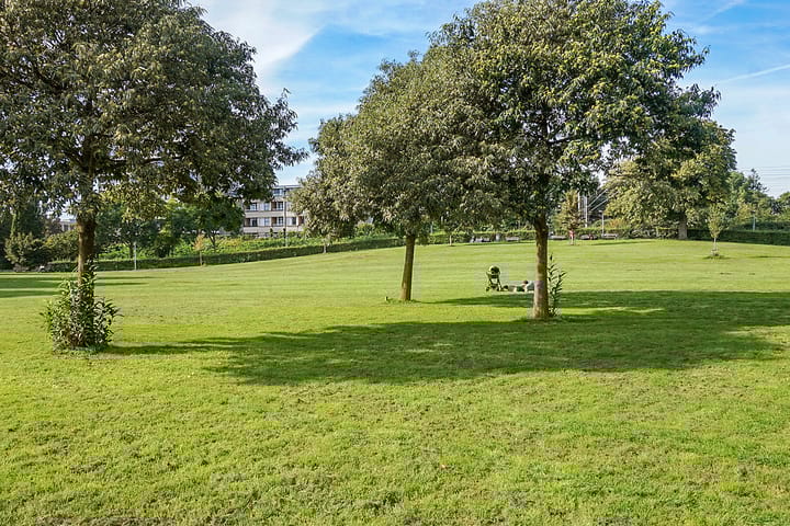 Foto 43 van Oudenoord 535