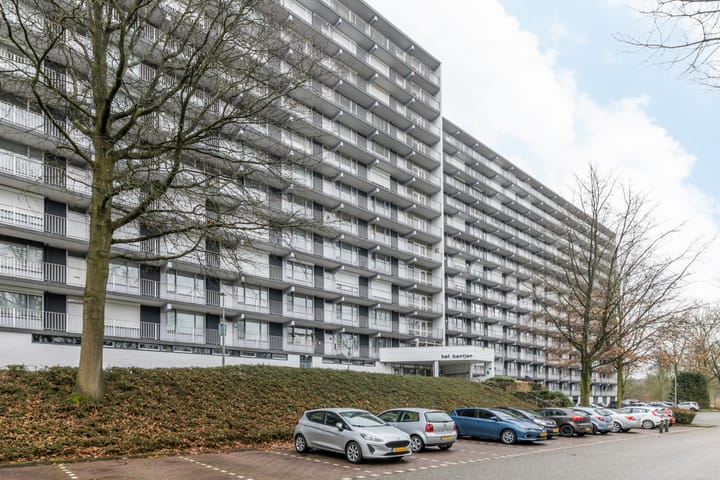 Henri Dunantstraat 249