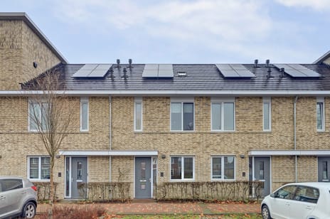 undefined main image