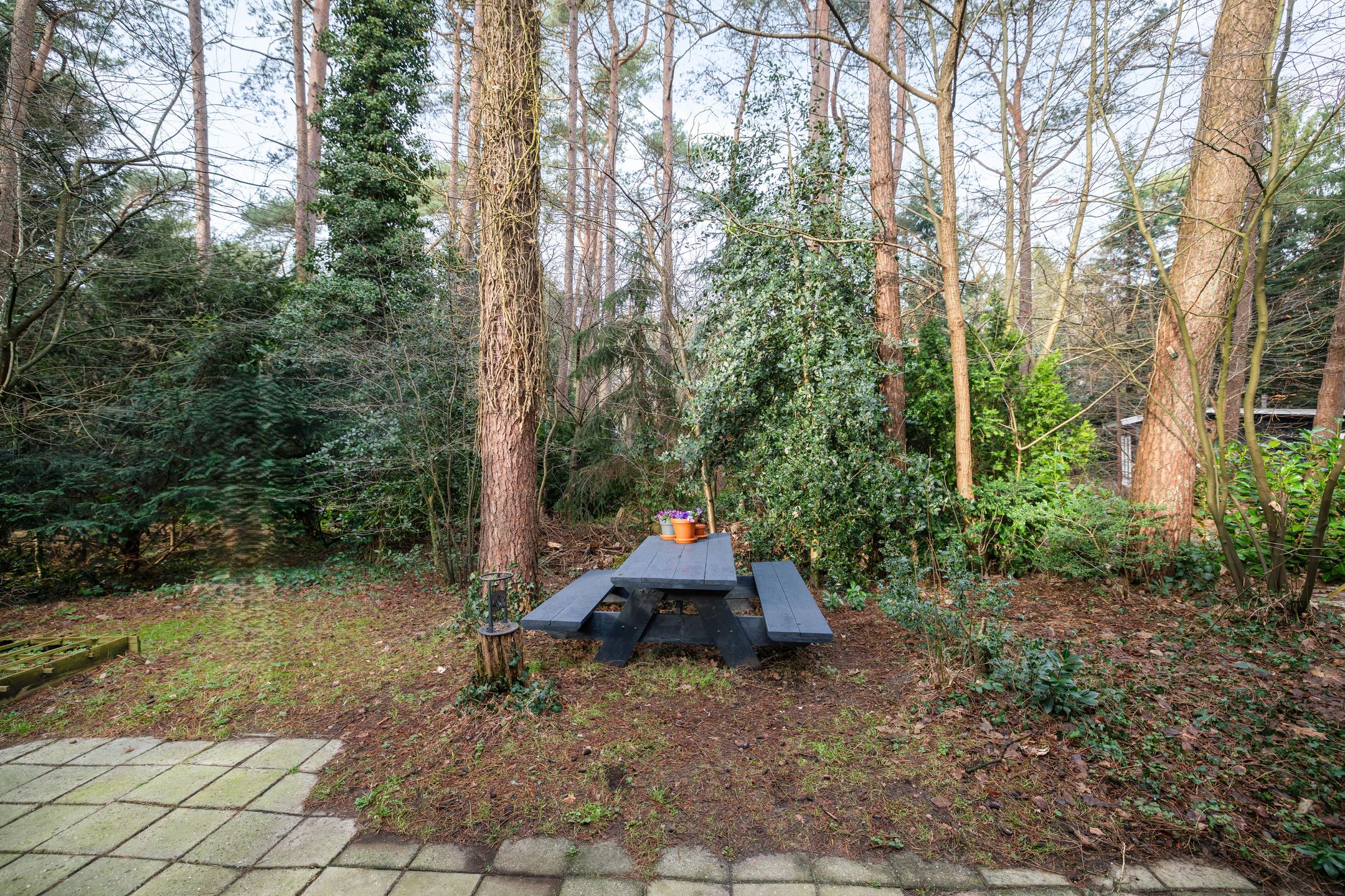 Photo 18 of Heggenwikke 5