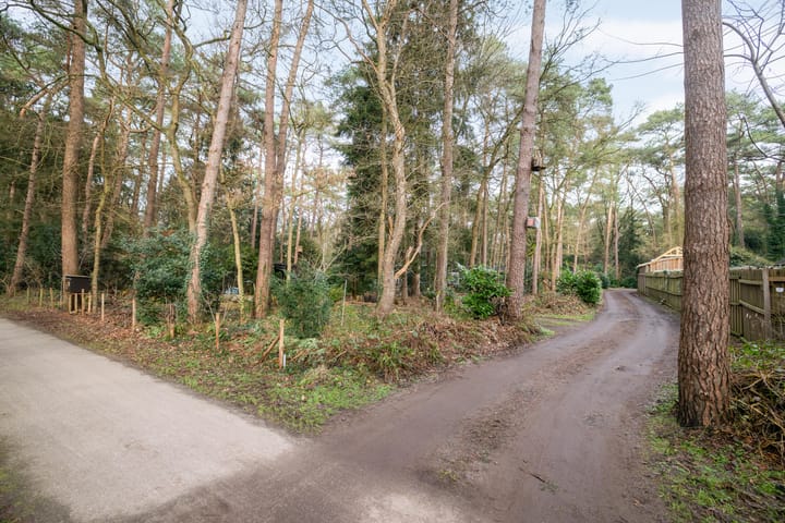 Foto 25 van Heggenwikke 5