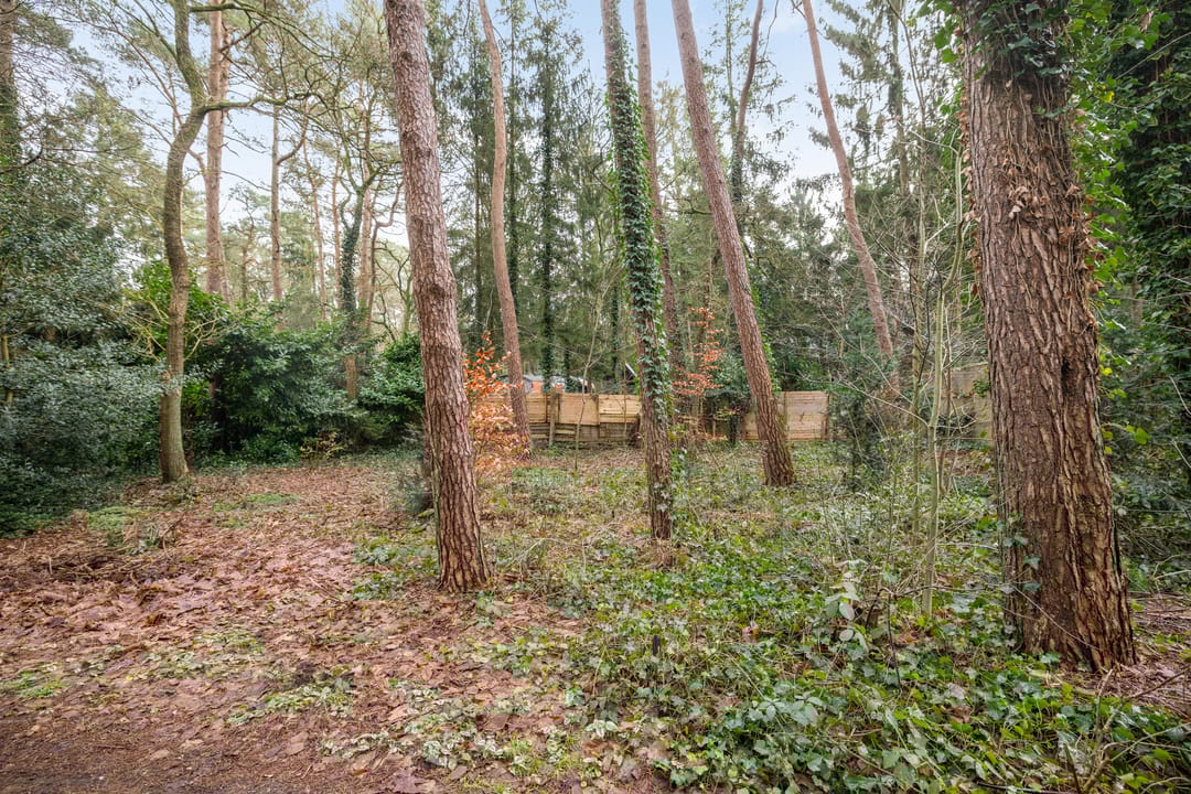 Photo 26 of Heggenwikke 5