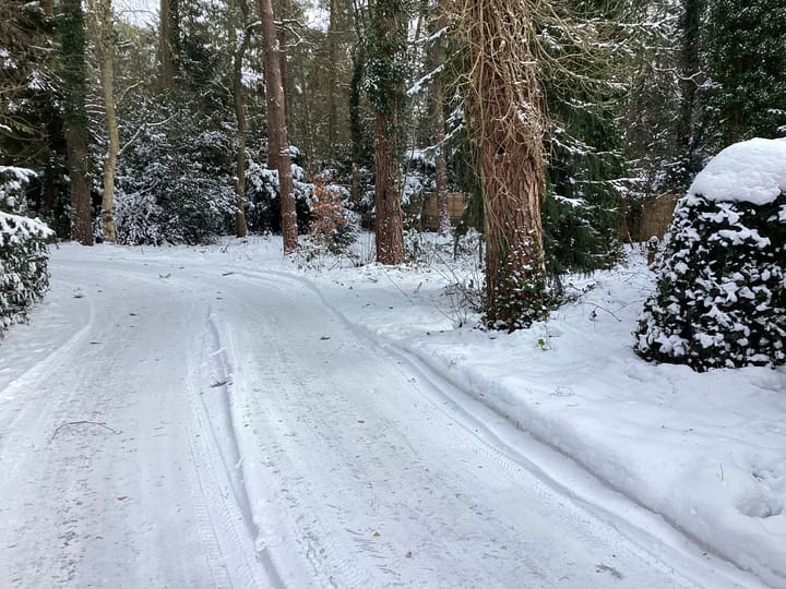 Foto 29 van Heggenwikke 5