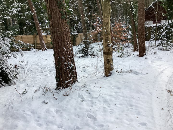 Foto 28 van Heggenwikke 5