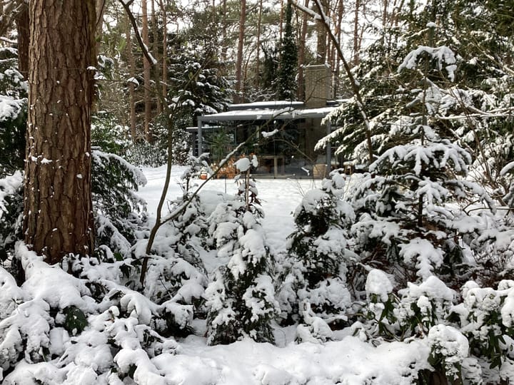 Foto 27 van Heggenwikke 5