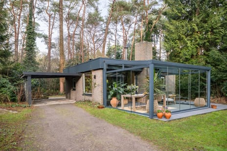 Heggenwikke thumbnail