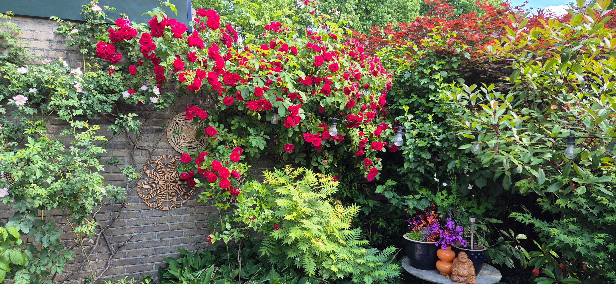 Foto 39 van Alsemlaan 46