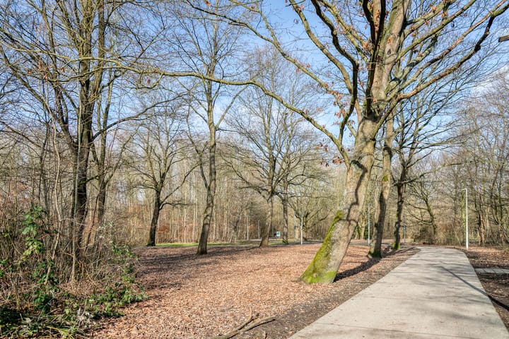 Foto 64 van De Dagmaat 48