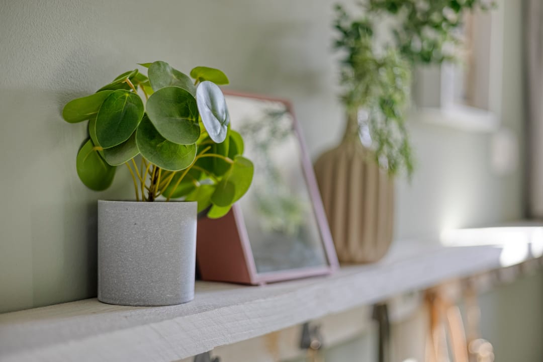 Foto 38 van Veerstraat 13