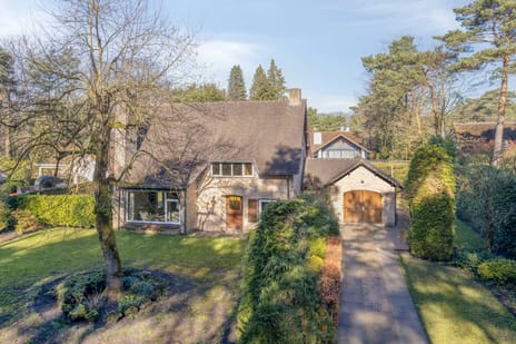 undefined main image