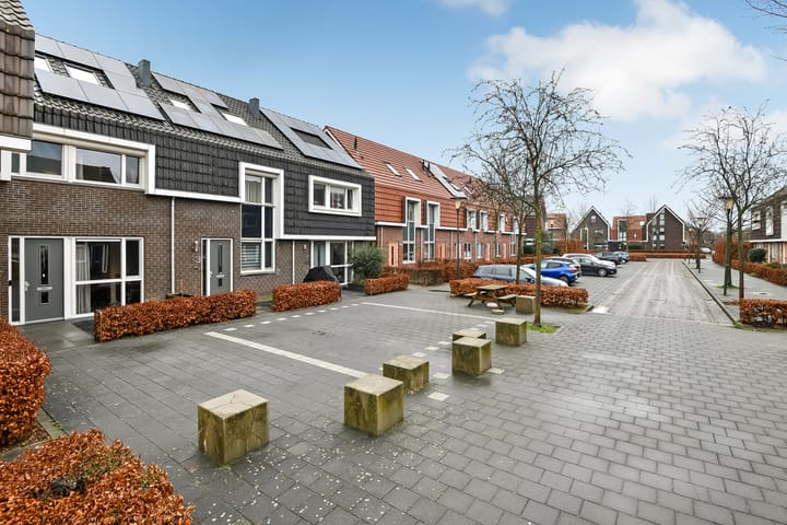 Foto 42 van Fonteinkruid 11