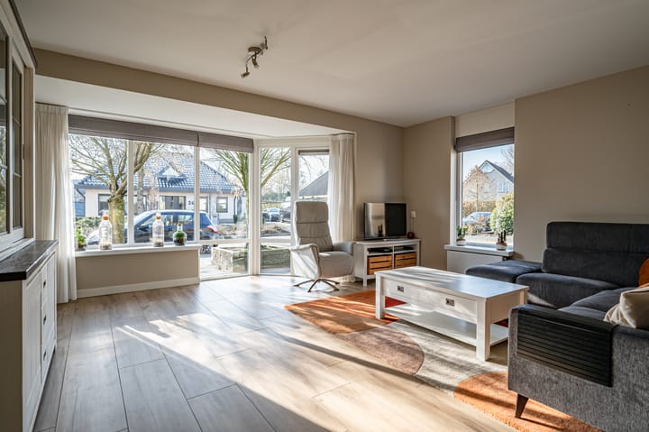 Foto 5 van Patrijs 17