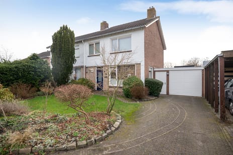 undefined main image