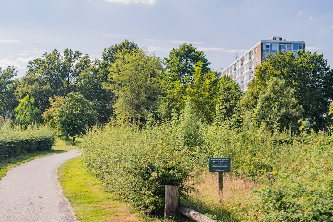 Foto 26 van Lambert Heijnricsstraat 10-F