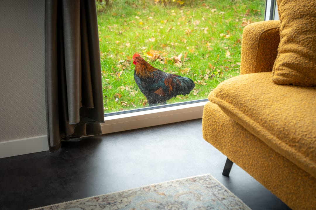 Photo 28 of Langwarderdyk 4-A0013