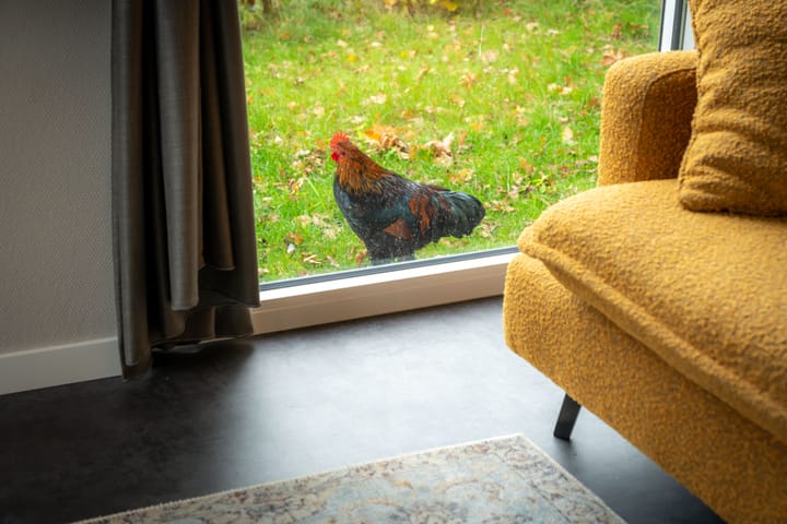 Foto 28 van Langwarderdyk 4-A0013