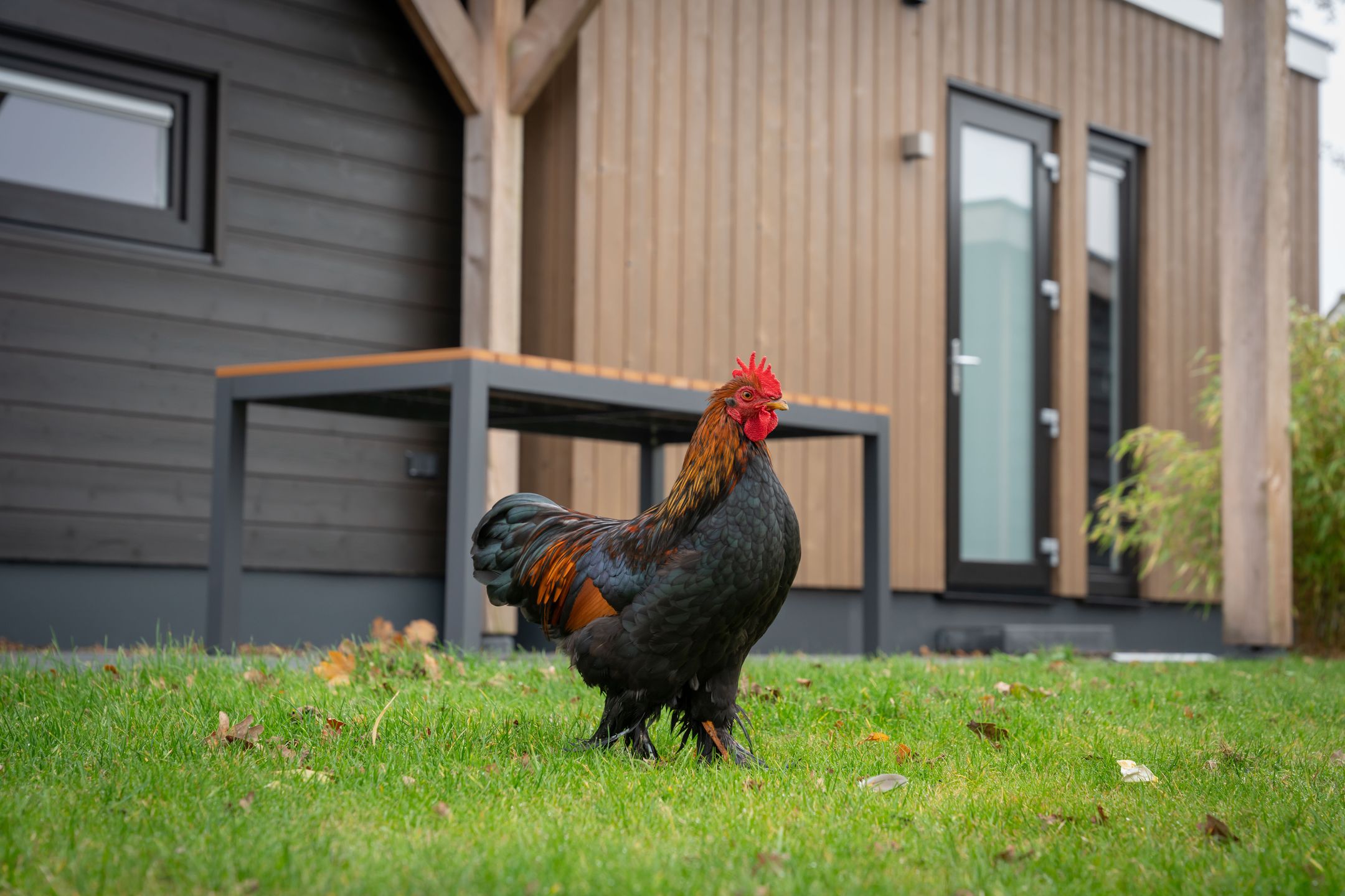 Photo 30 of Langwarderdyk 4-A0013