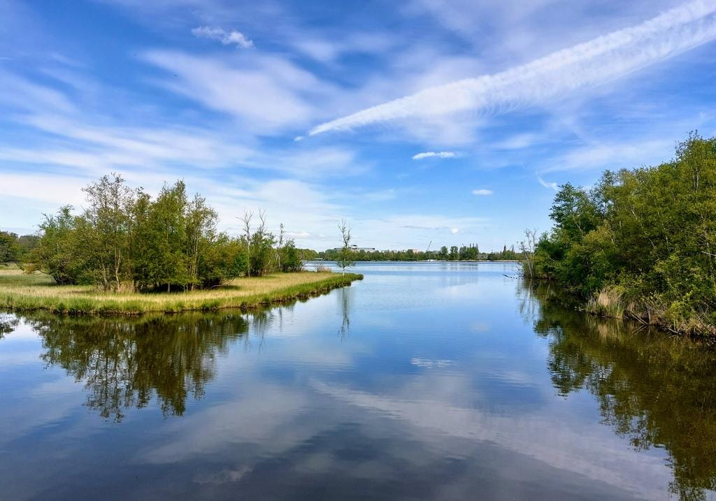 Photo 29 of Vierlingsbeeklaan 54