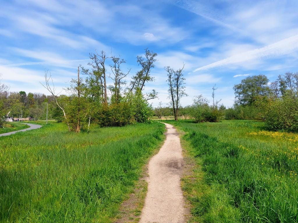 Photo 30 of Vierlingsbeeklaan 54