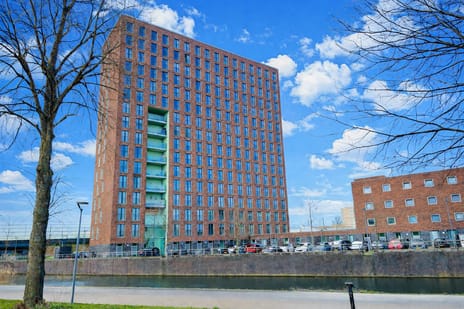 undefined main image