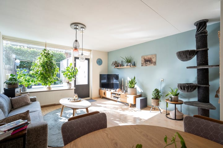 Photo 2 of Noordwal 53