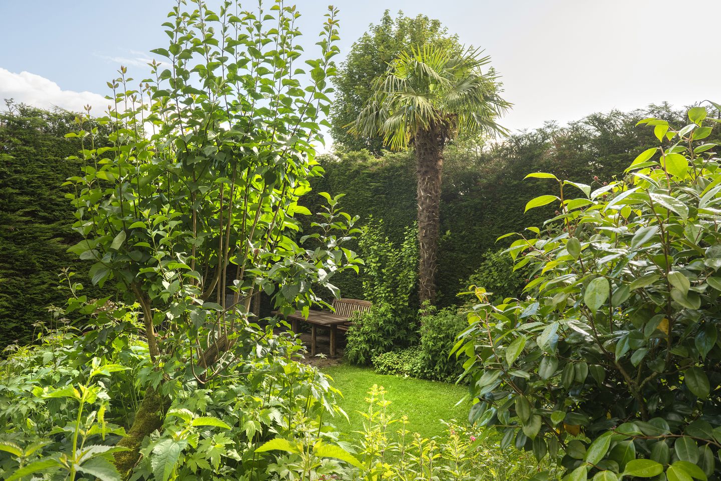 Foto 59 van Nassaulaan 9