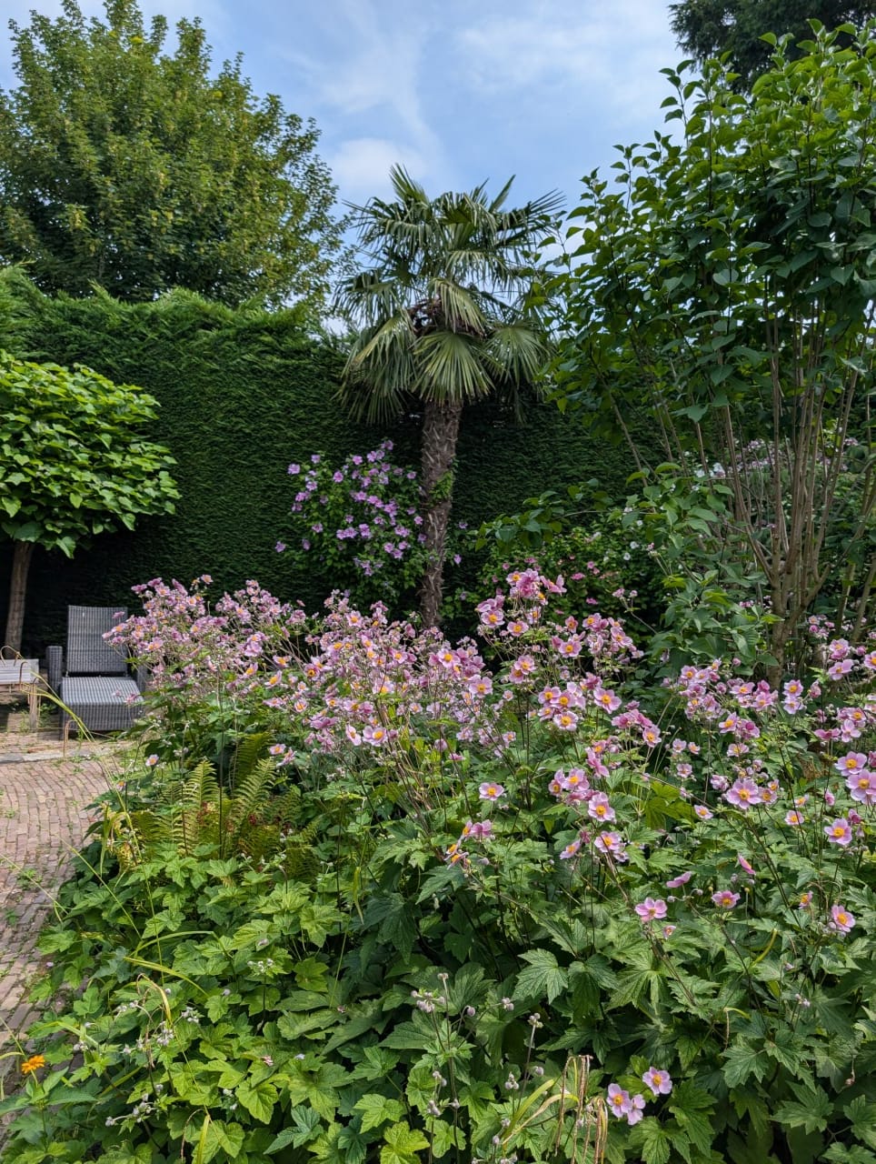 Foto 65 van Nassaulaan 9