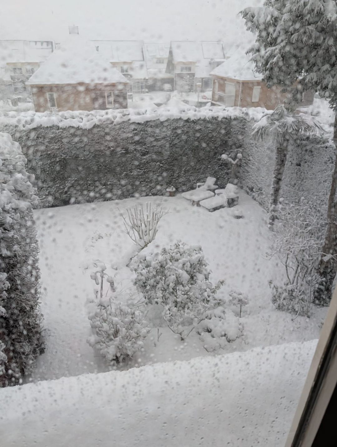 Foto 68 van Nassaulaan 9