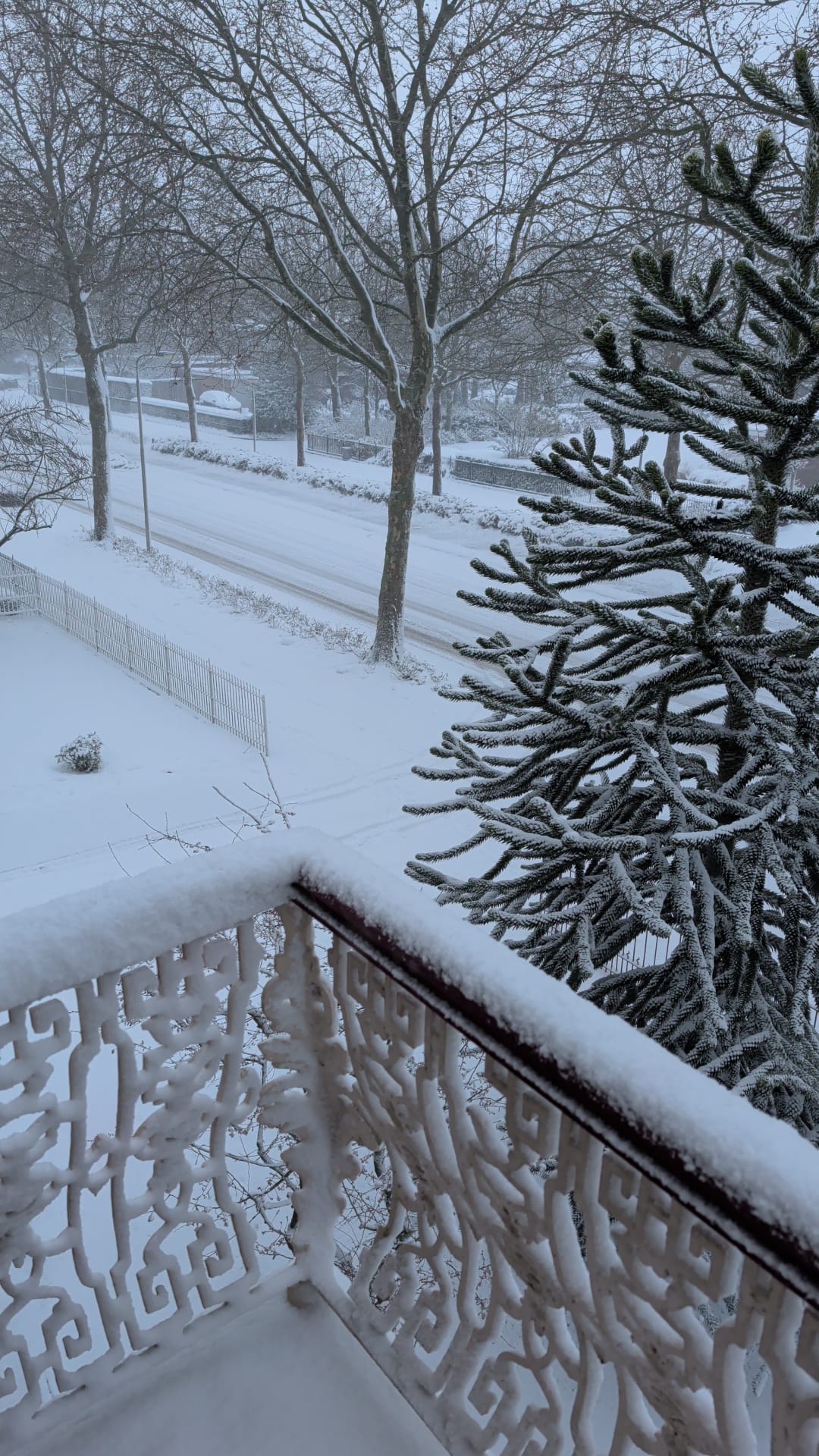 Foto 71 van Nassaulaan 9