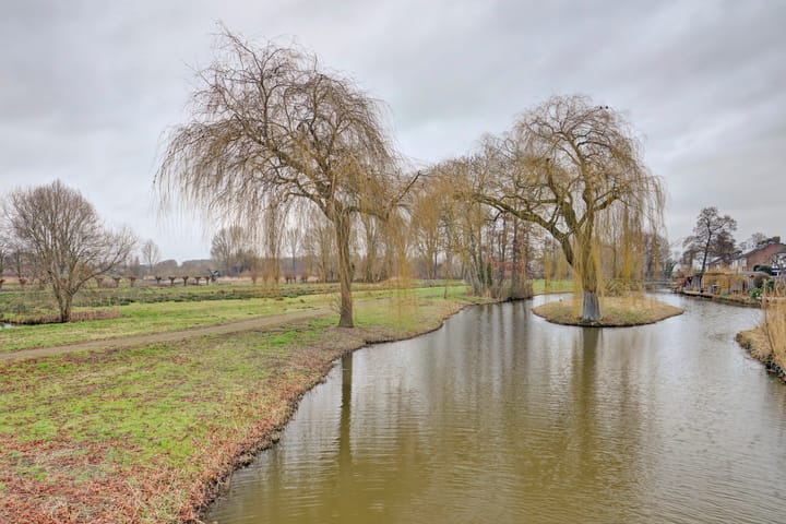 Foto 4 van Trasmolen 50