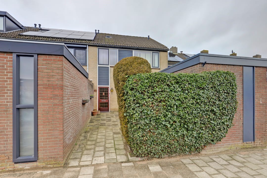 Foto 7 van Trasmolen 50