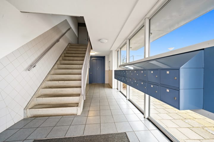 Foto 8 van Weideland 19