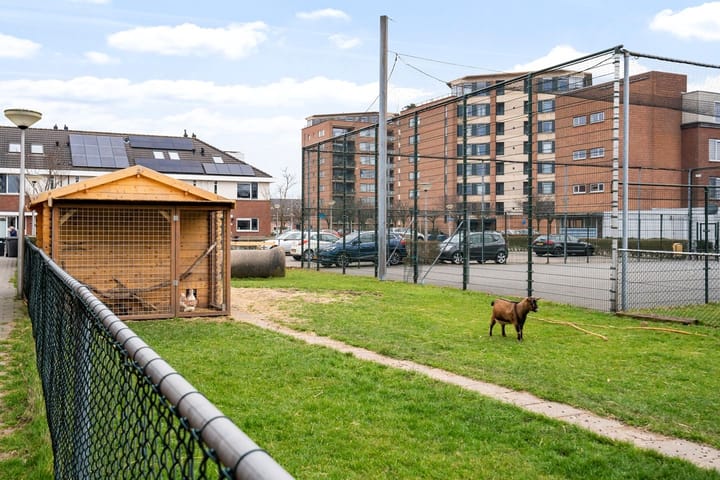 Foto 28 van Weideland 19