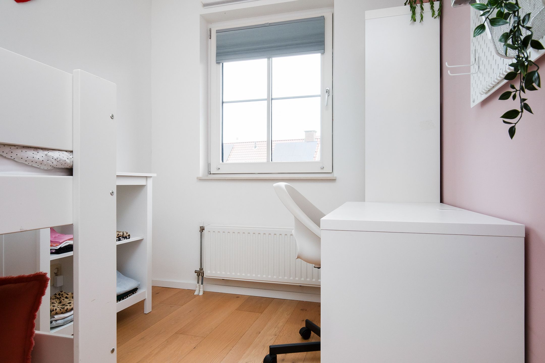 Photo 18 of Siciliano 54