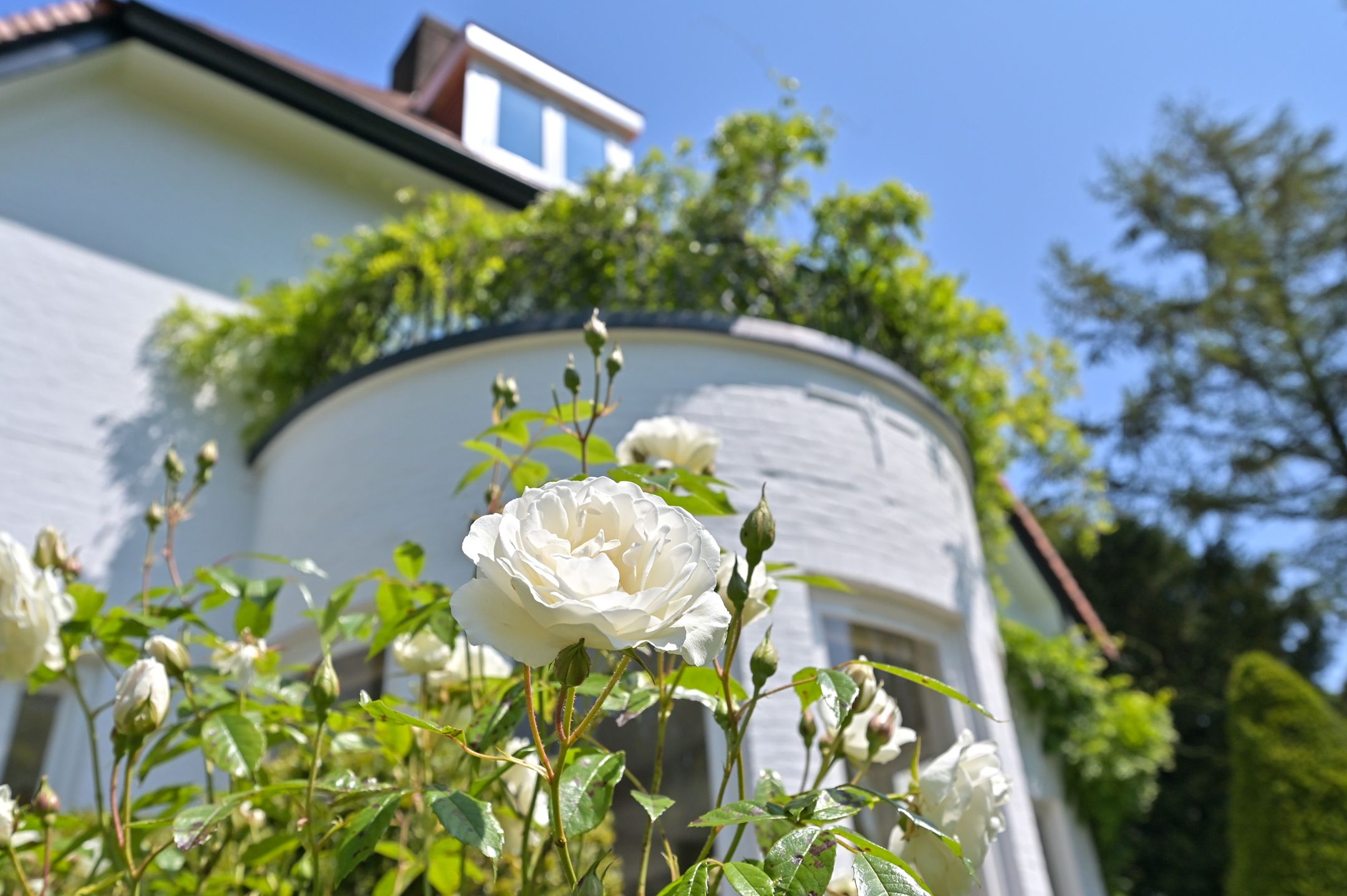 Foto 33 van Koninginneweg 4