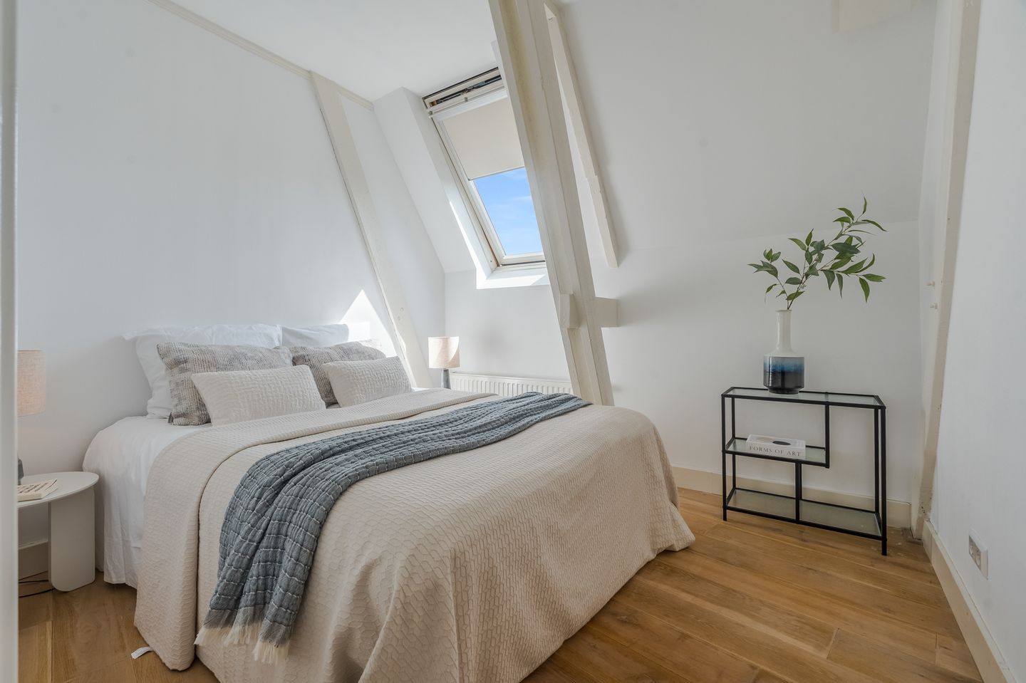 Foto 4 van Ferdinand Bolstraat 39-N