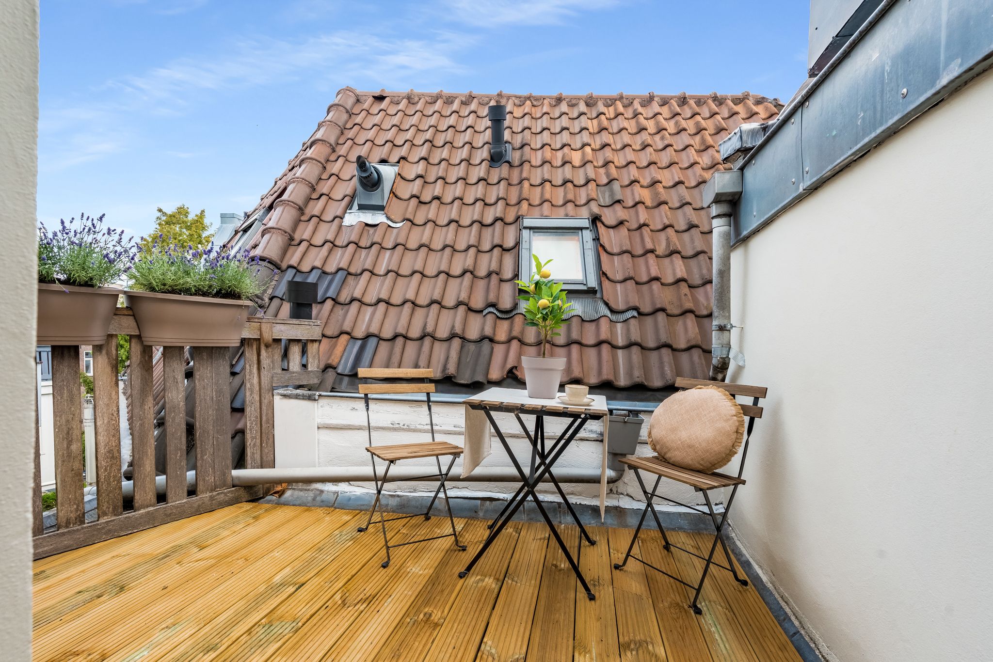 Foto 15 van Ferdinand Bolstraat 39-N