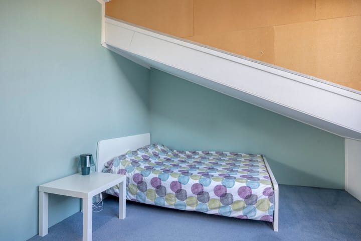 Foto 34 van Sidoniastraat 11