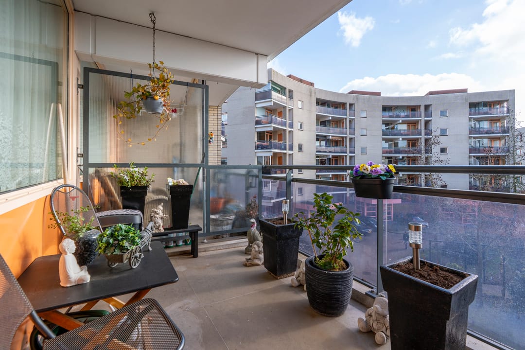 Foto 2 van Plantage 134