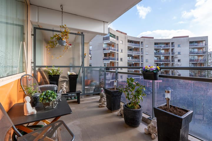 Foto 2 van Plantage 134