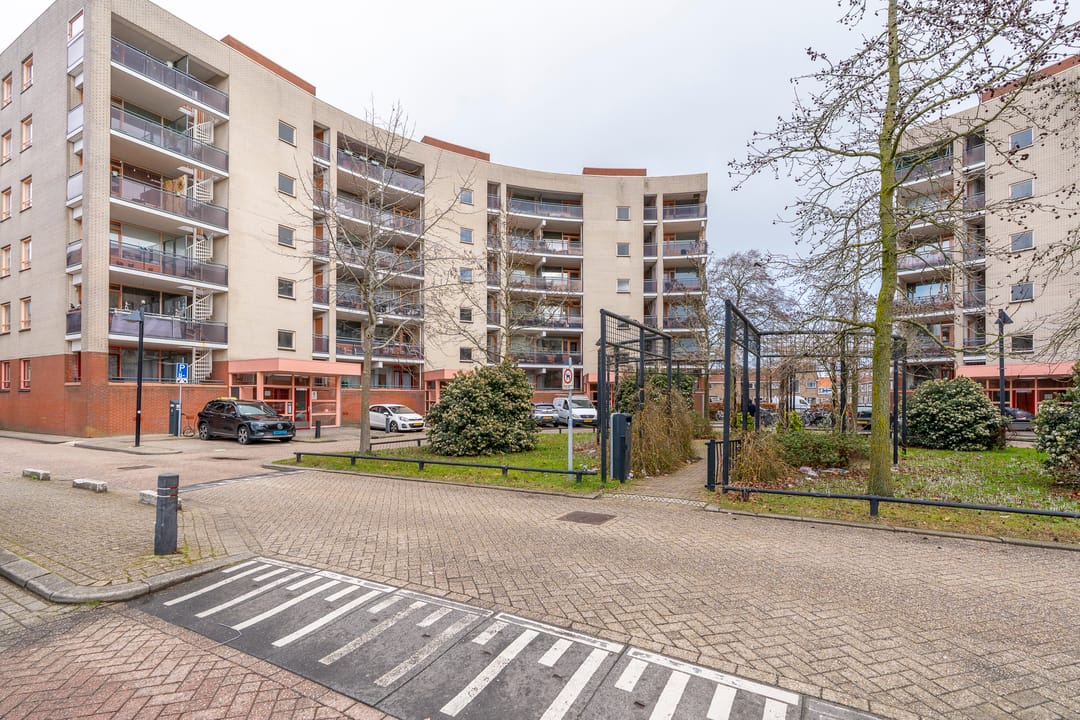 Foto 7 van Plantage 134