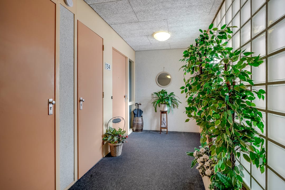 Foto 11 van Plantage 134